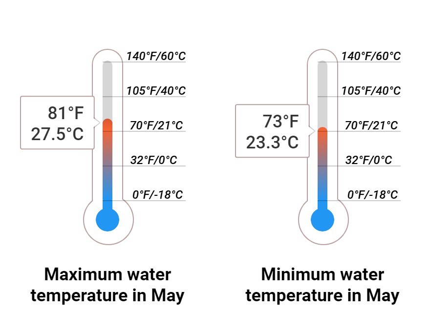 Average Sea temperature